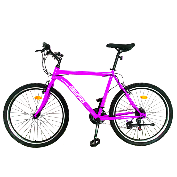 จักรยานเสือภูเขาเหล็กขนาด 26 น - Mountain Biking Usa บทวิจารณ์และราคา